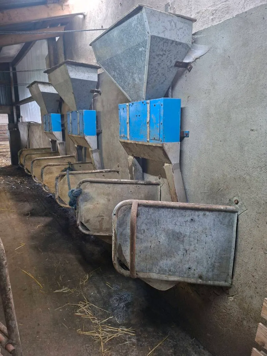 Milking parlour - Image 2