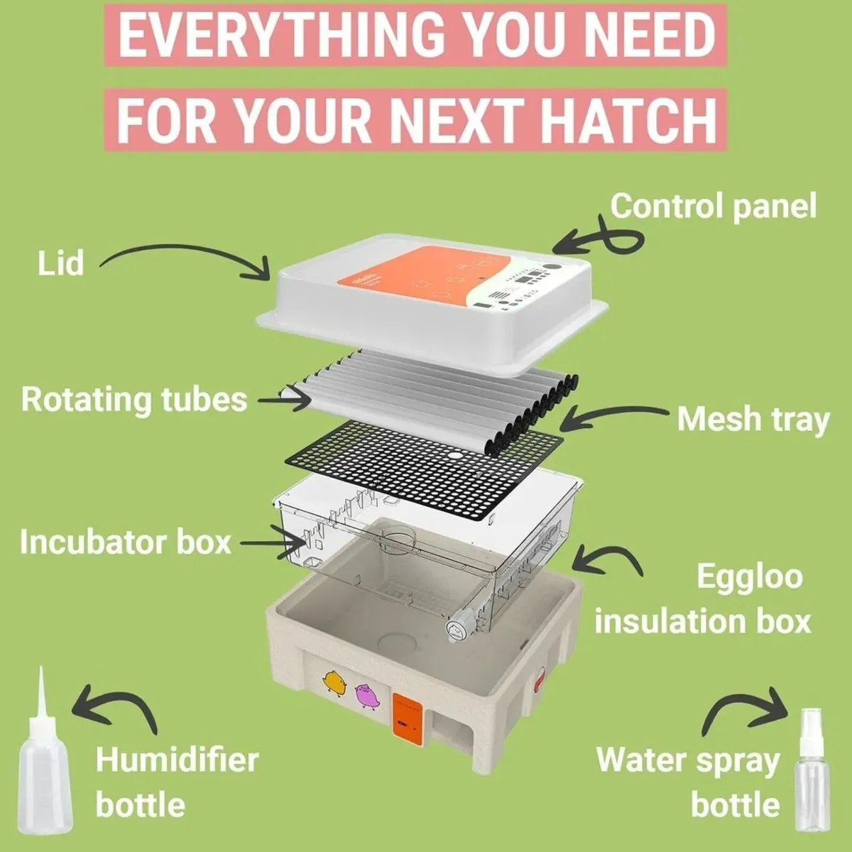 36 Egg Poultry Incubator with Automatic Egg Turner - Image 4