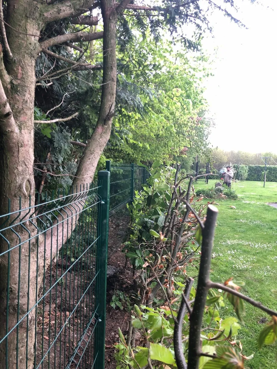 Security fence, Commercial fence, Gate - Image 4