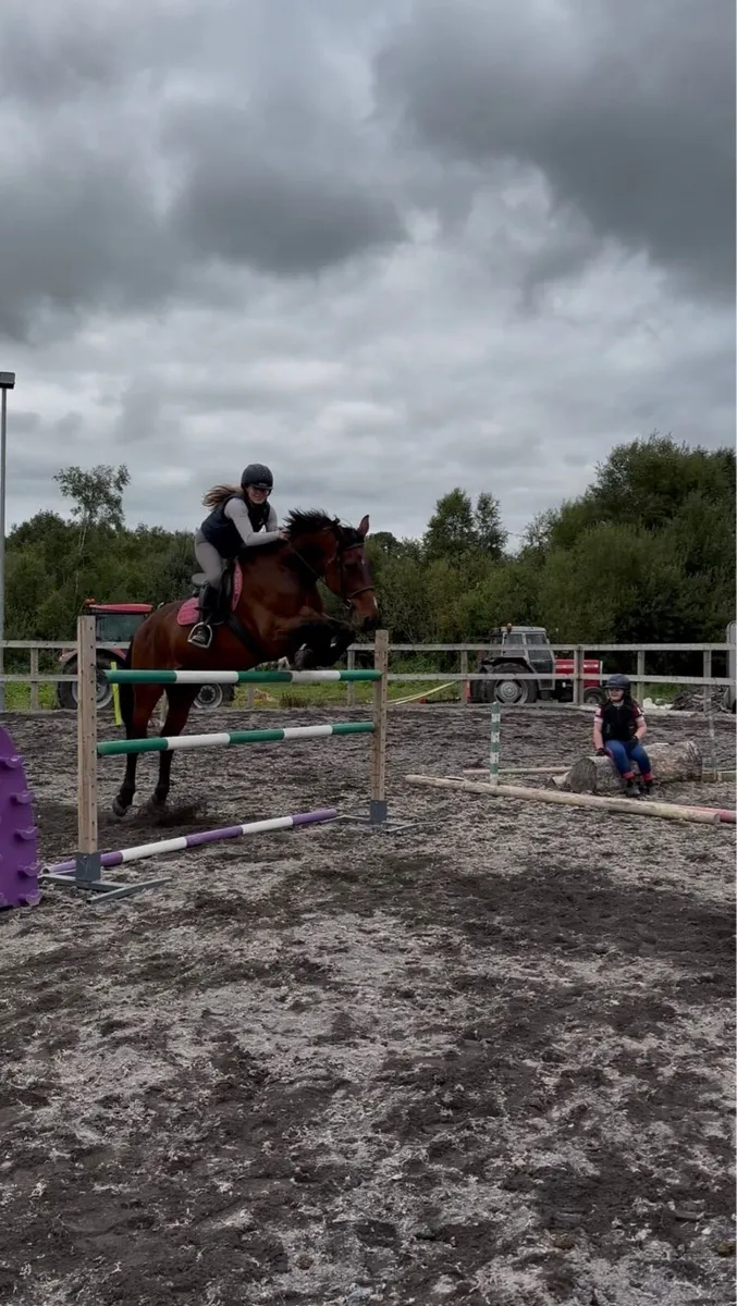 Horse - Image 2