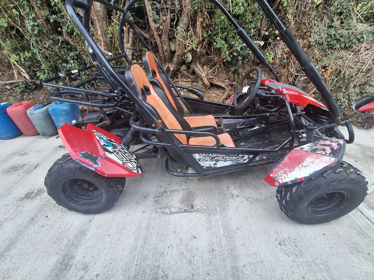 Trailblazer buggy - Image 1