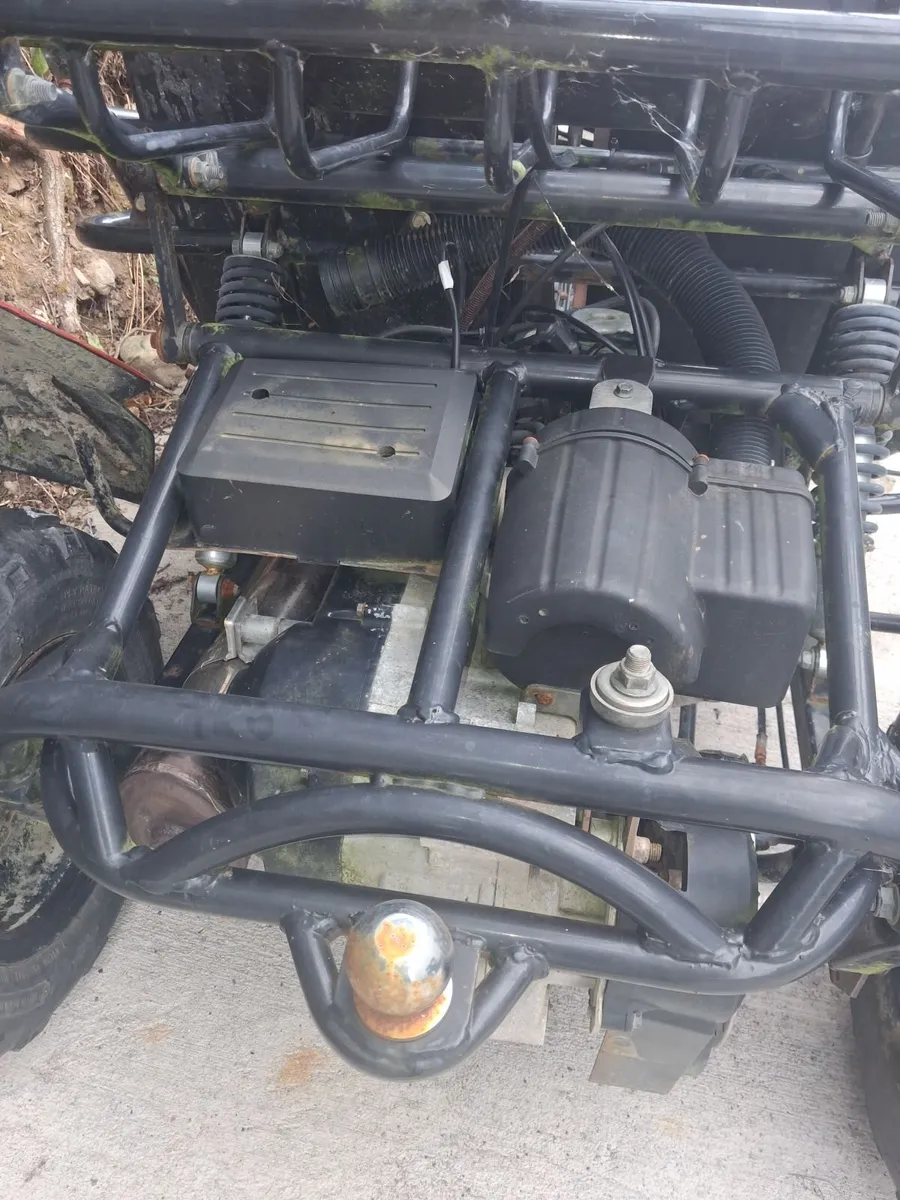 Trailblazer buggy - Image 2