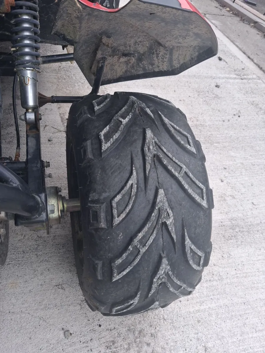 Trailblazer buggy - Image 3