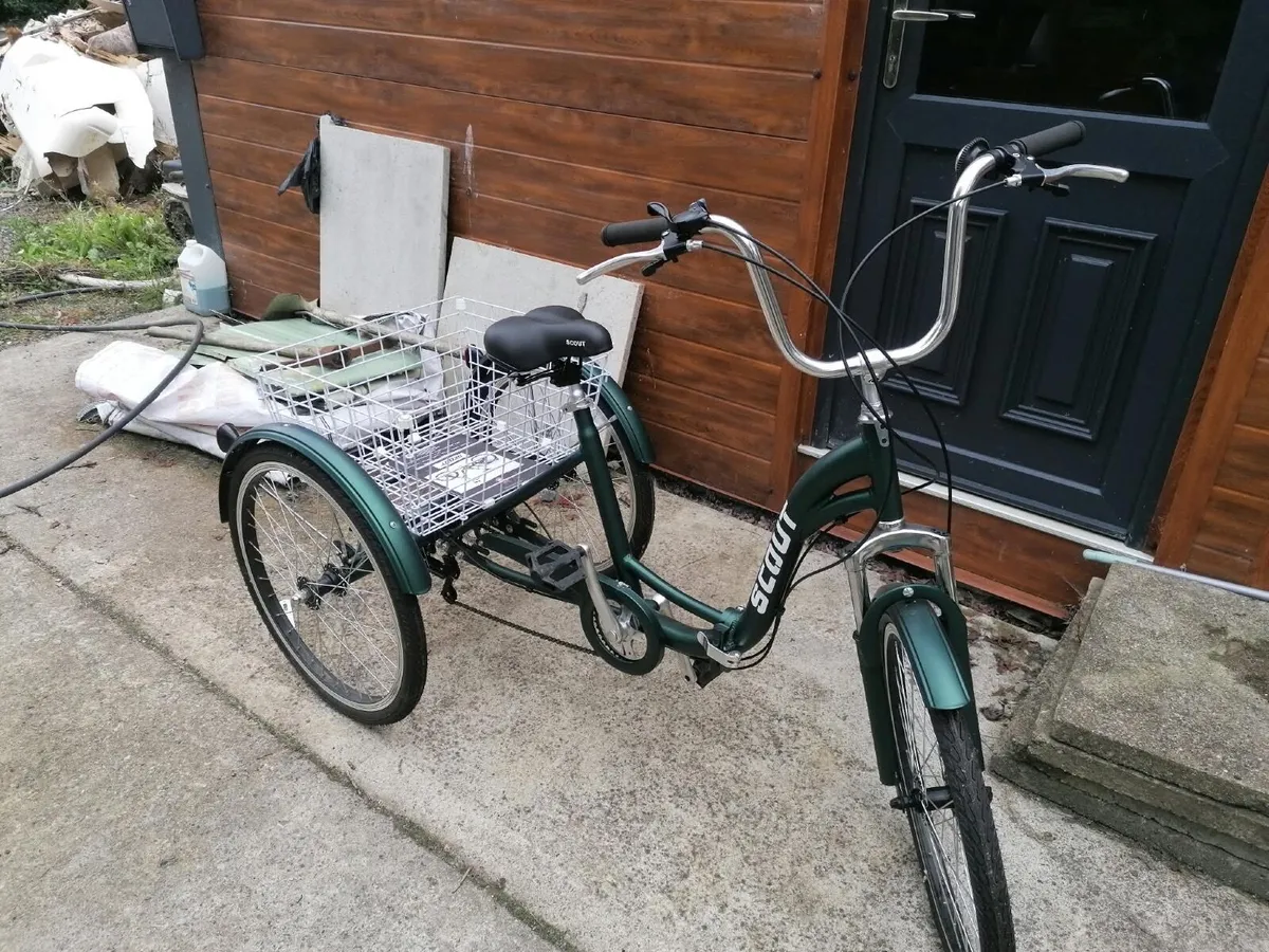 Adult trike - Image 1