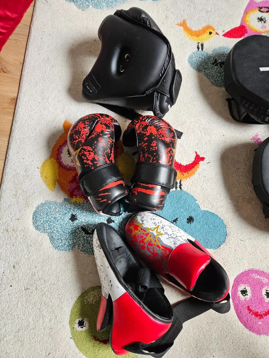 Martial art sparring gear - Image 4