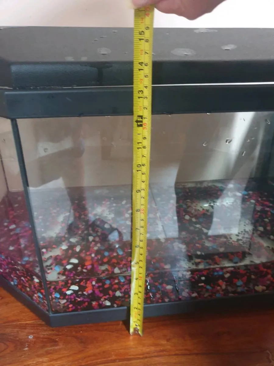 Fish tank - Image 3