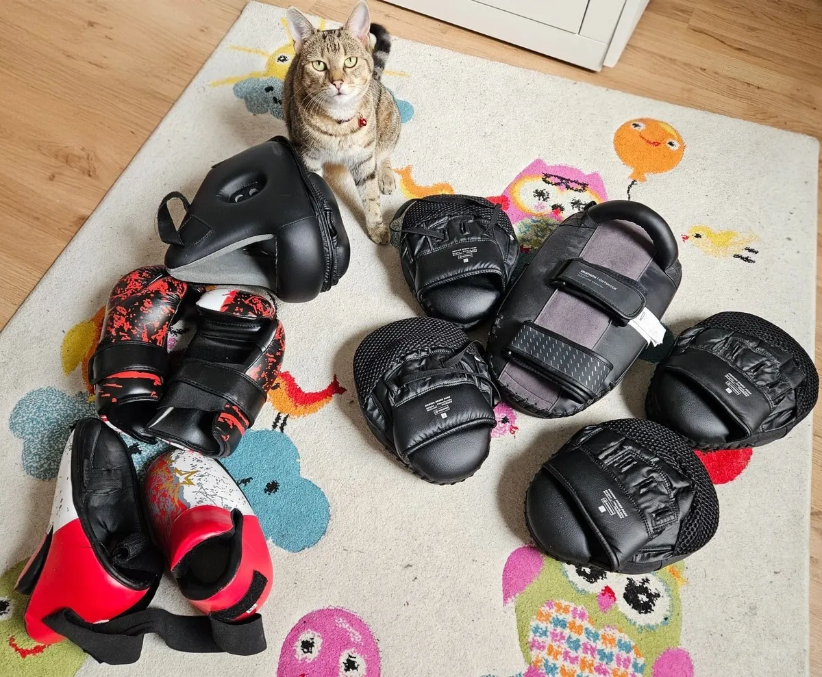 Martial art sparring gear - Image 1