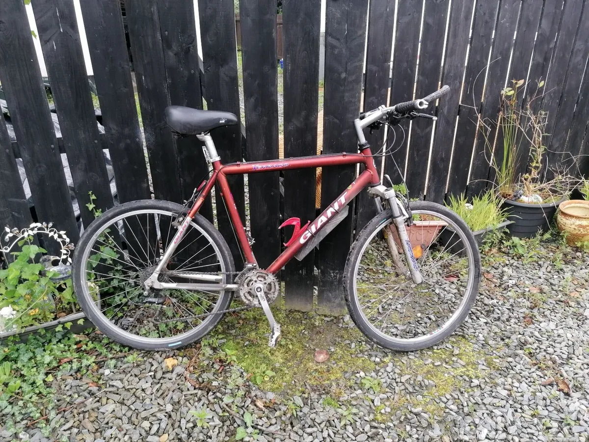 Mans Bicycle - Image 2