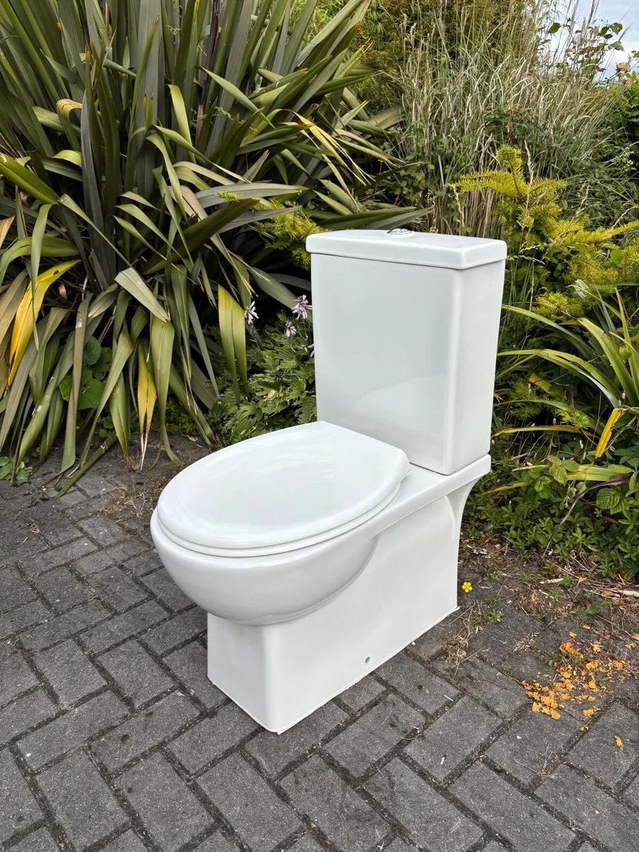 Toilet and cistern - Image 1