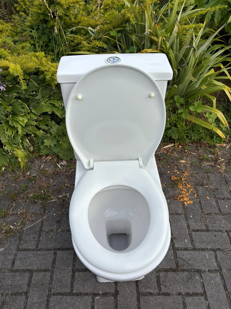 Toilet and cistern - Image 3