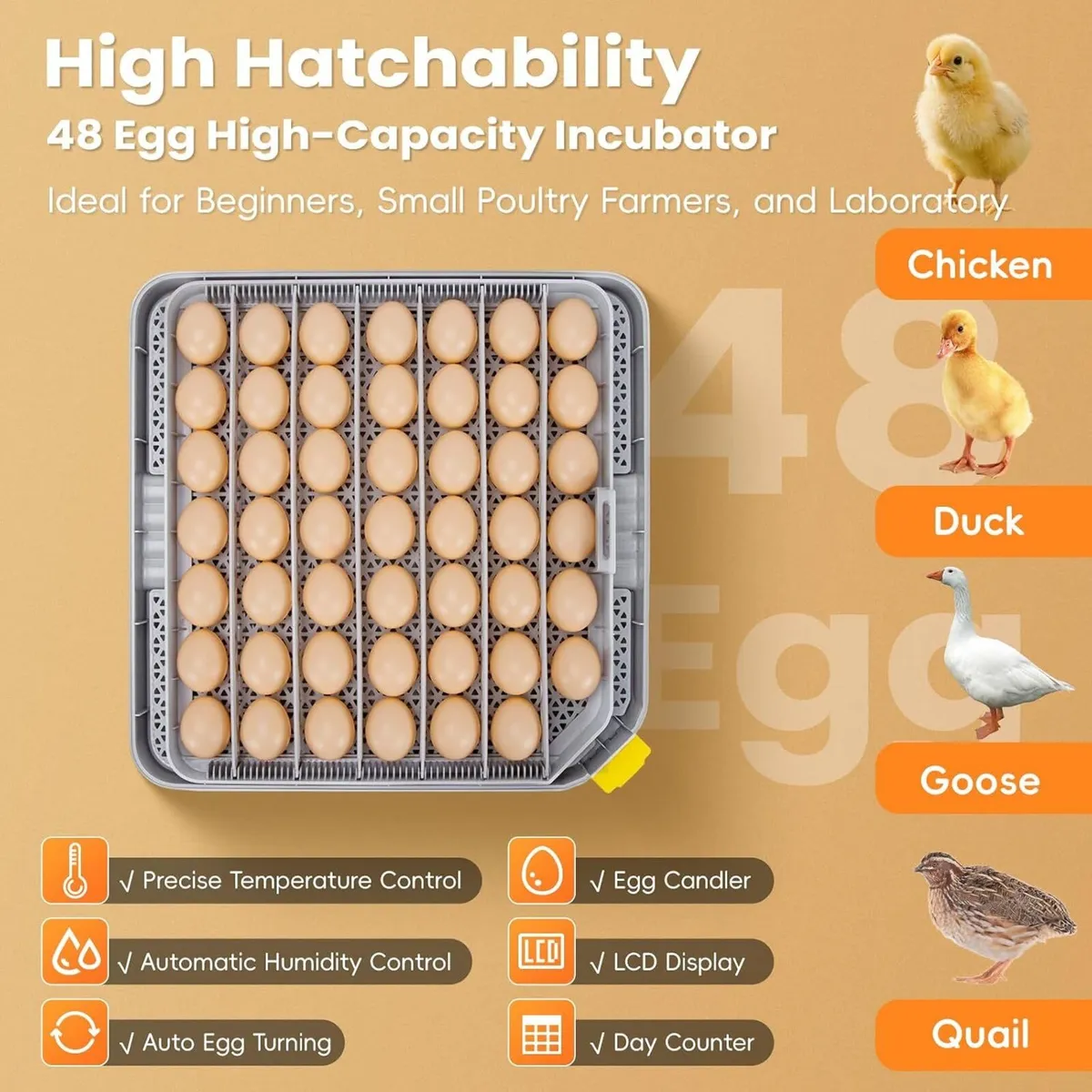 48-Egg Fully Automatic Incubator 12V/220V - Image 2