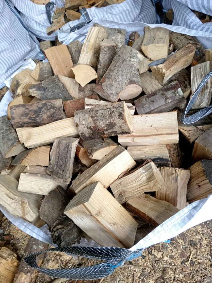 Hardwood ash Firewood - Image 2
