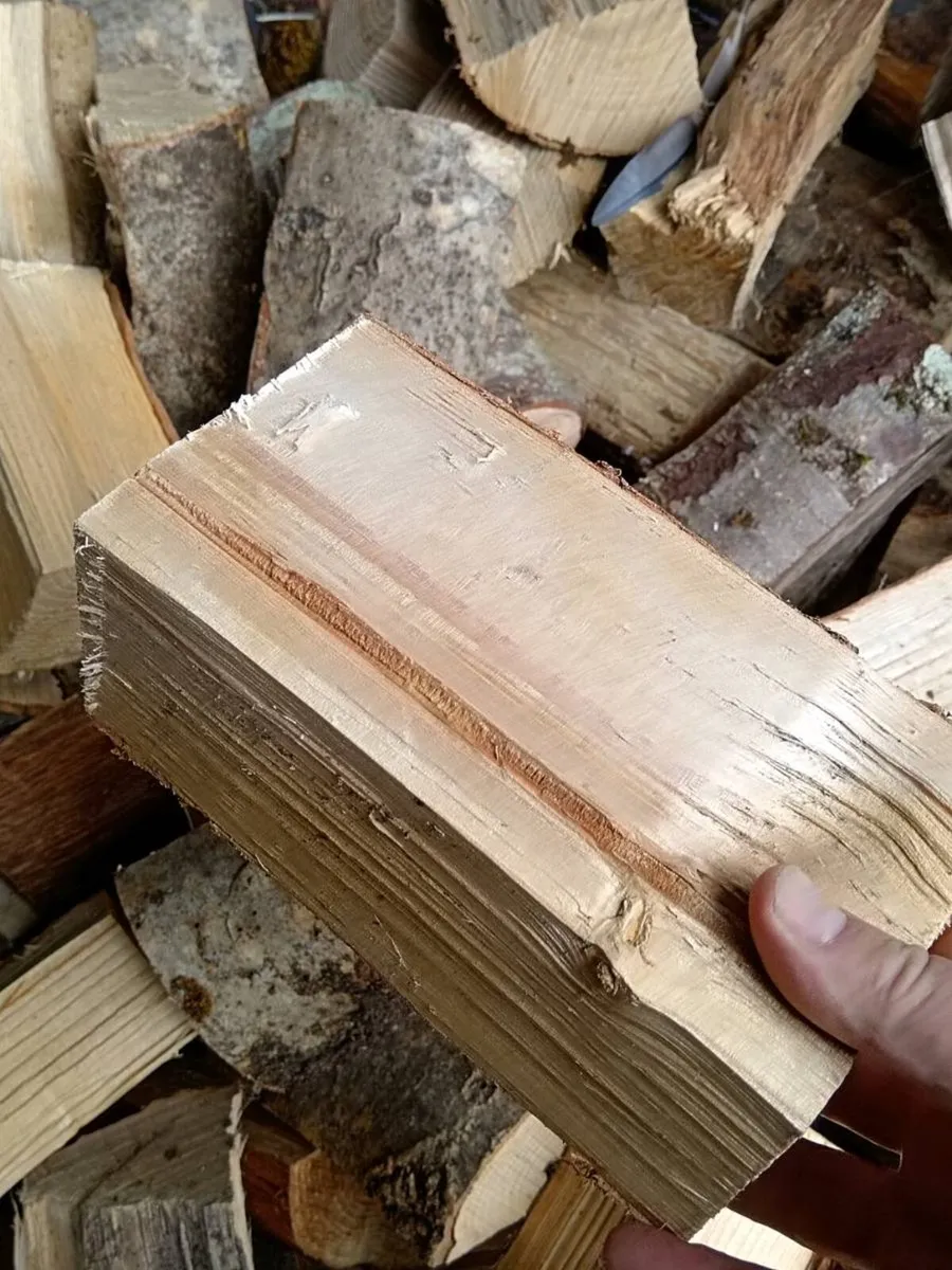 Hardwood ash Firewood - Image 4