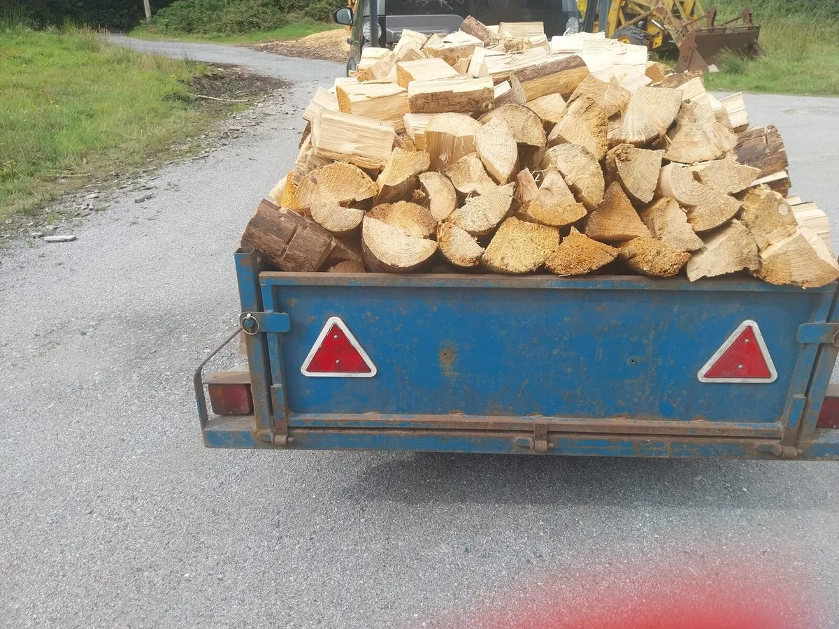 Firewood for sale - Image 4