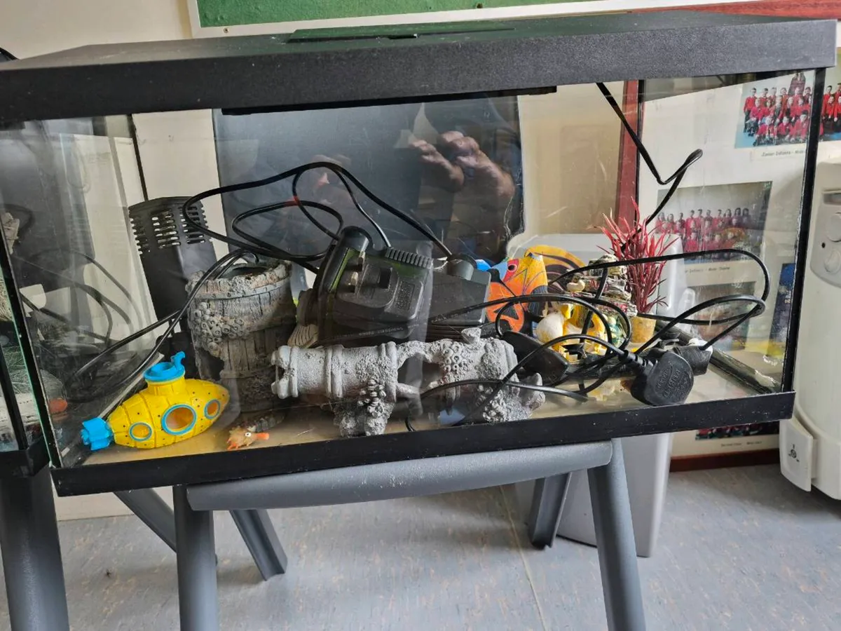Aquarium - Image 2