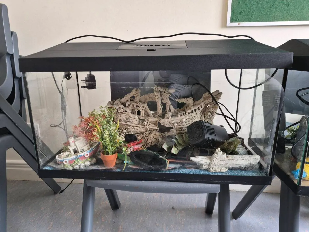 Aquarium - Image 3