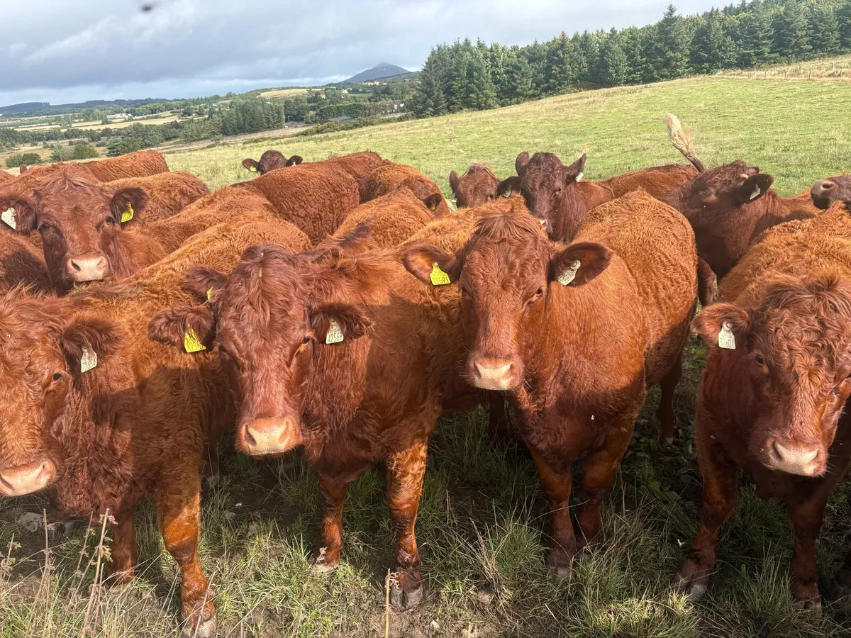 Farming - Image 1