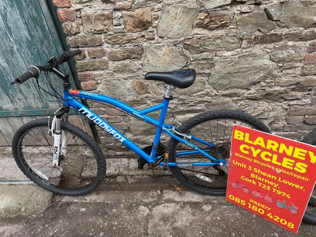 Bicycles - Image 4