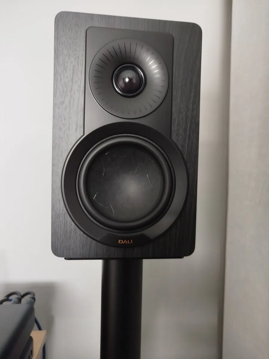 Dali Kupid Black black new warranty. - Image 1