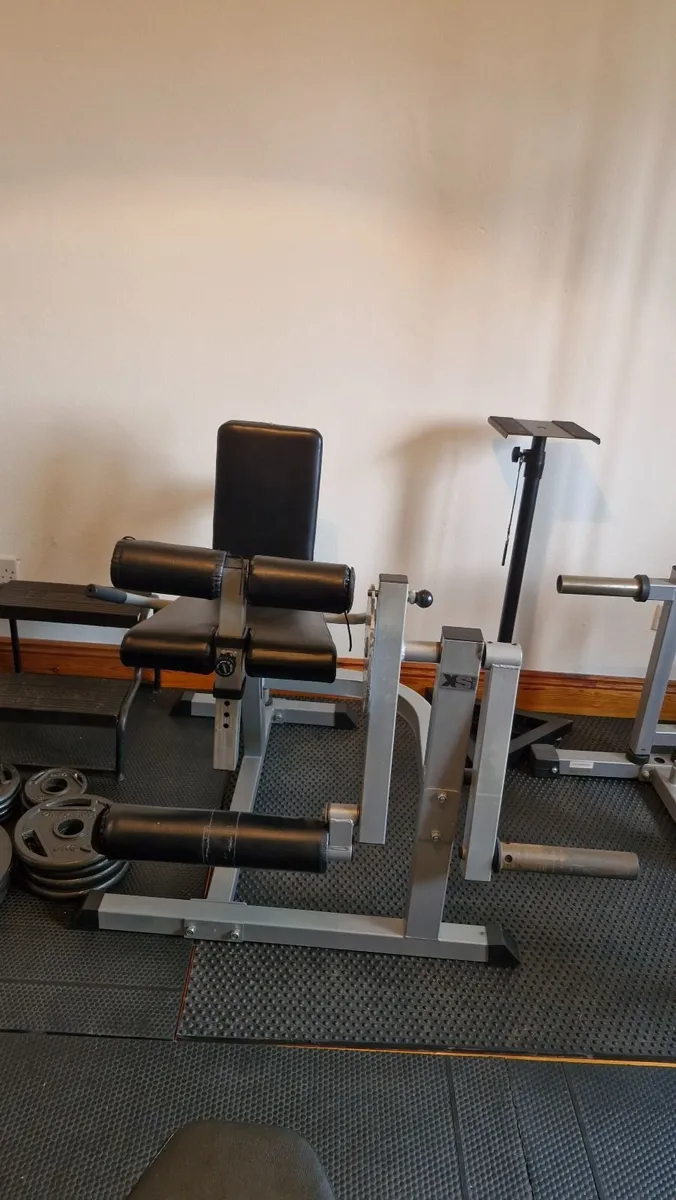 Heavy duty home gym - Image 3