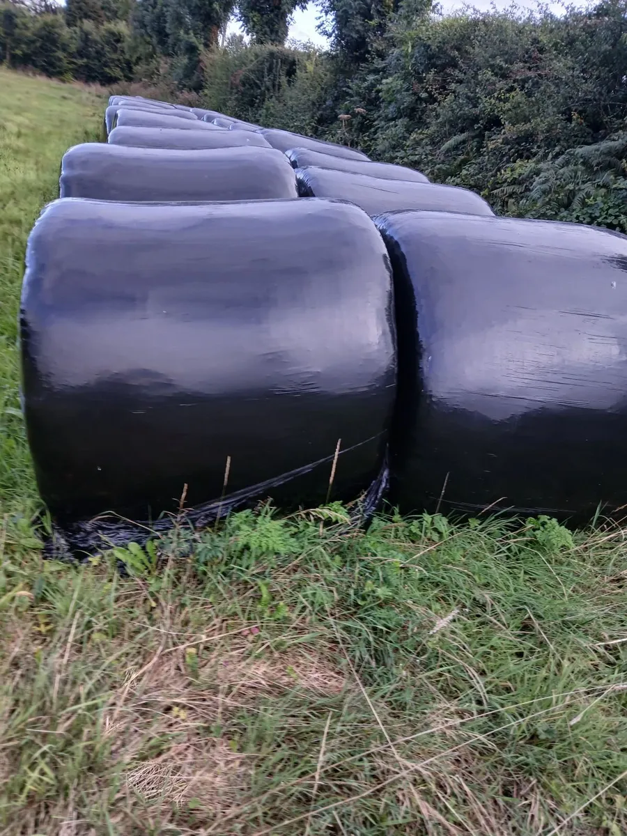silage bales