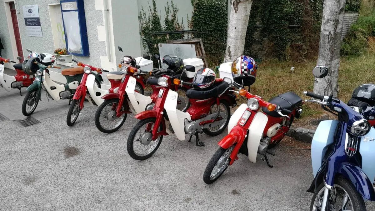 Honda 50. Monthly spin. - Image 1