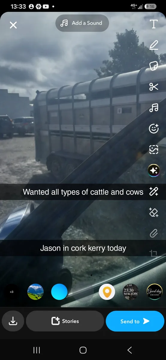 We buy all types of cattle - Image 2
