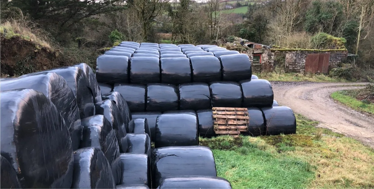 Silage for sale - Image 1