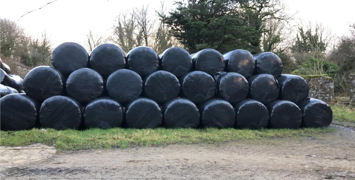 Silage for sale - Image 3