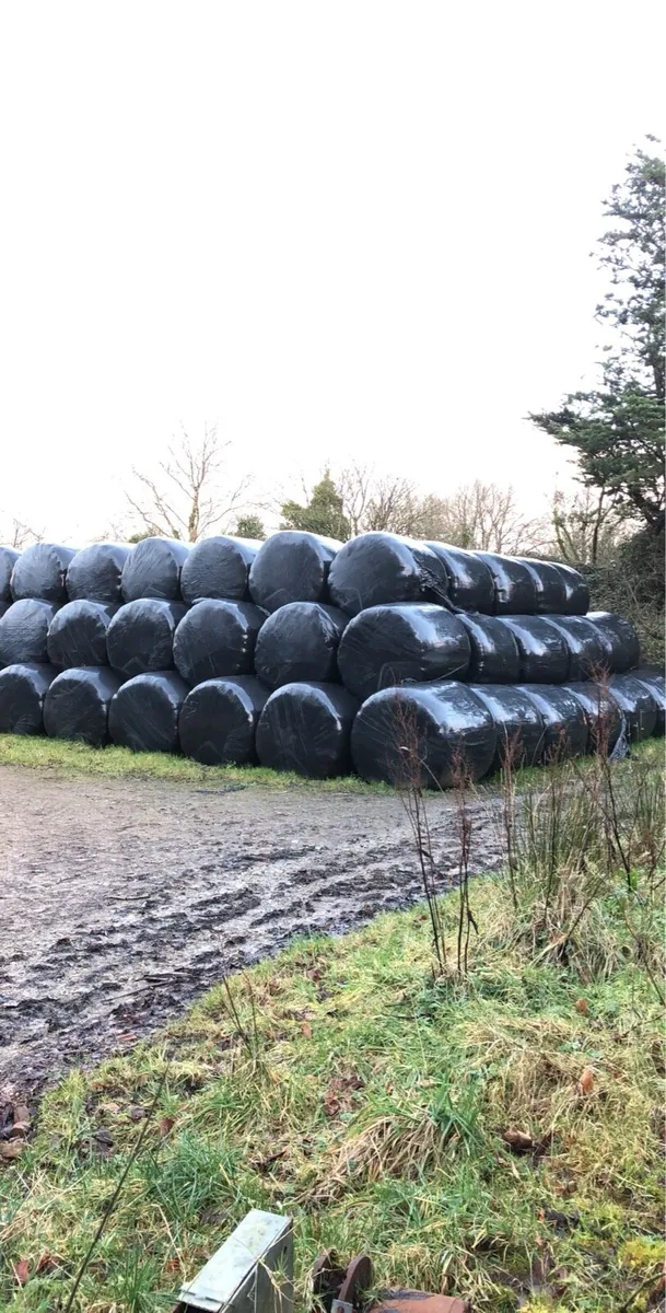 Silage for sale - Image 4