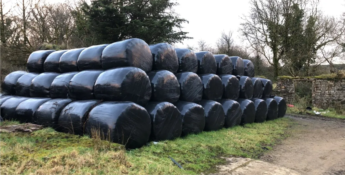 Silage for sale - Image 2