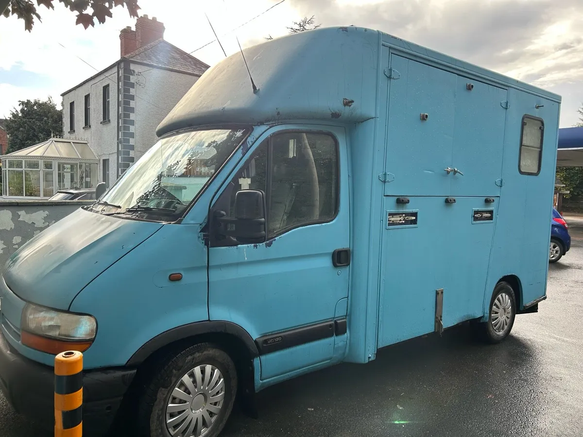 Renault master horsebox - Image 2