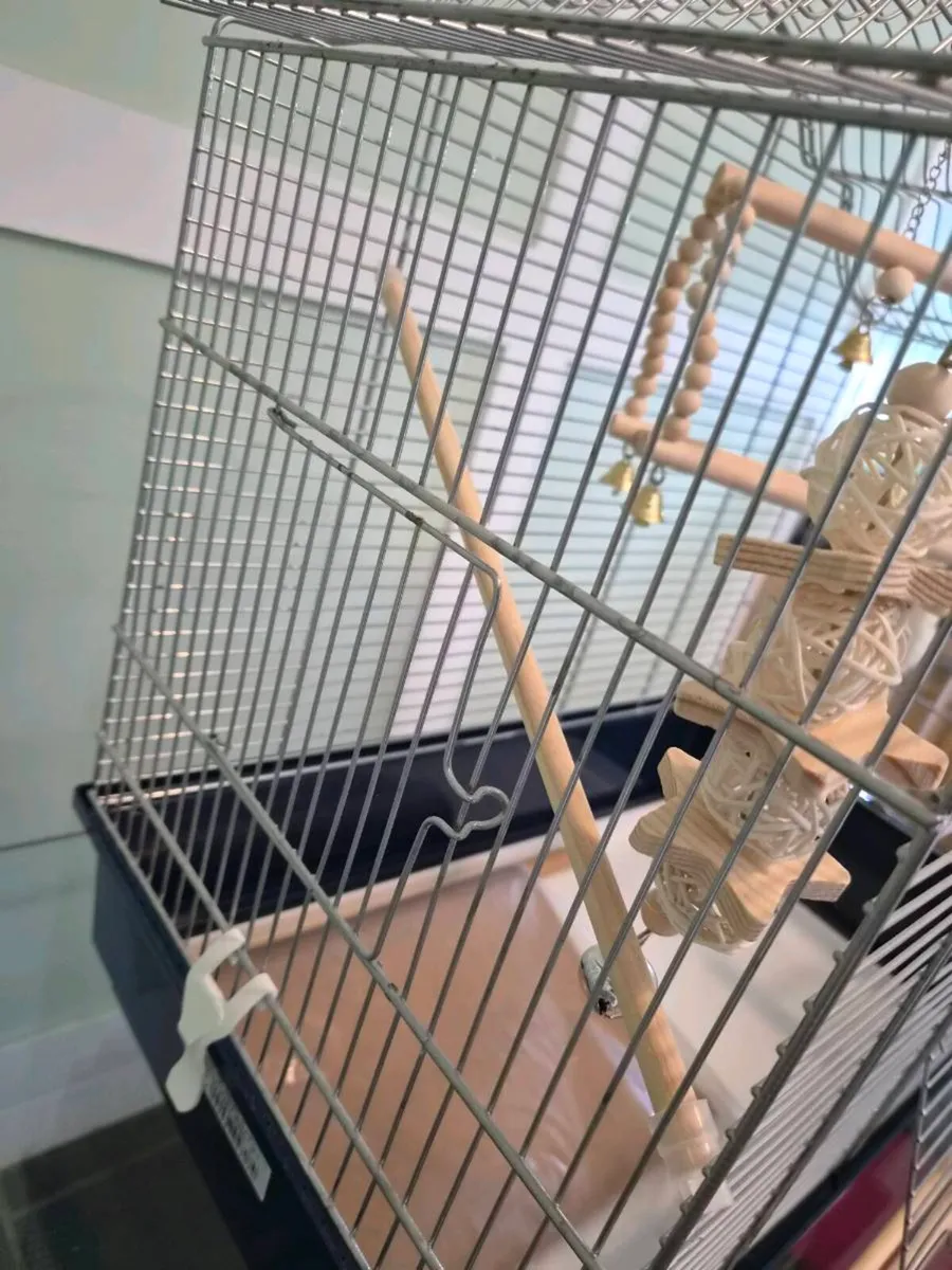 Bird Cage with Large Bundle - Image 3
