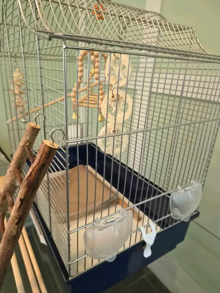 Bird Cage with Large Bundle - Image 4
