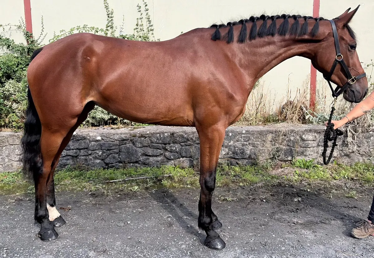 Genevieve - Image 1