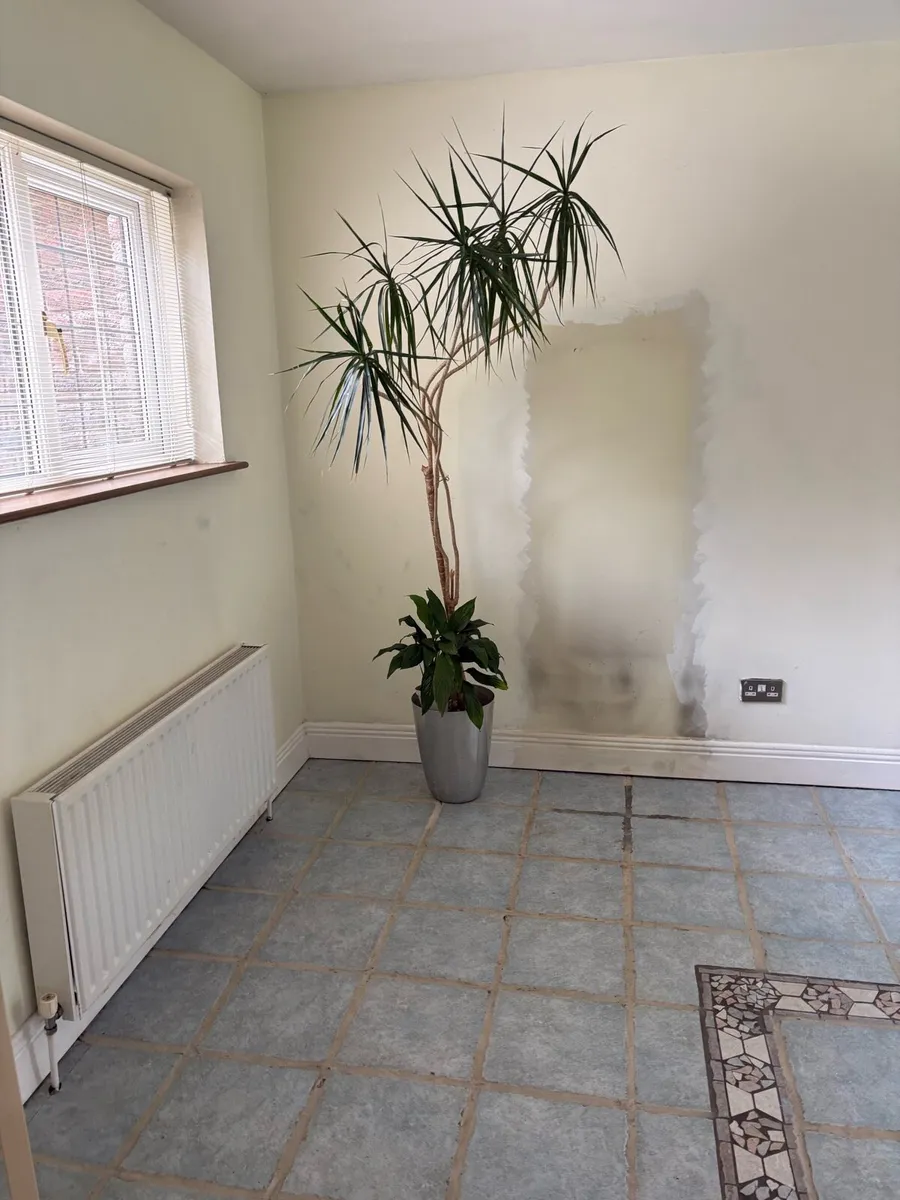 Plants and Pots - Image 3