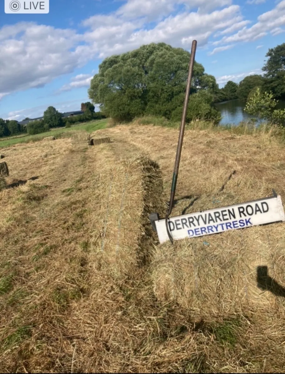 Hay small bales and round bales £3.50.  /£35 - Image 2