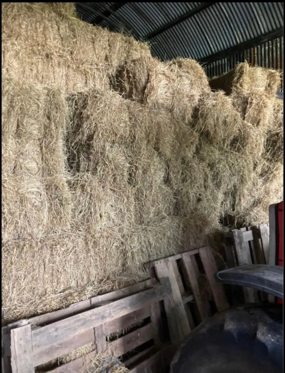 Hay small bales and round bales £3.50.  /£35 - Image 3