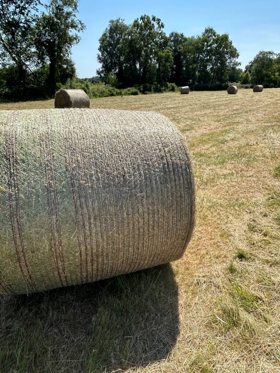 Hay small bales and round bales £3.50.  /£35 - Image 1