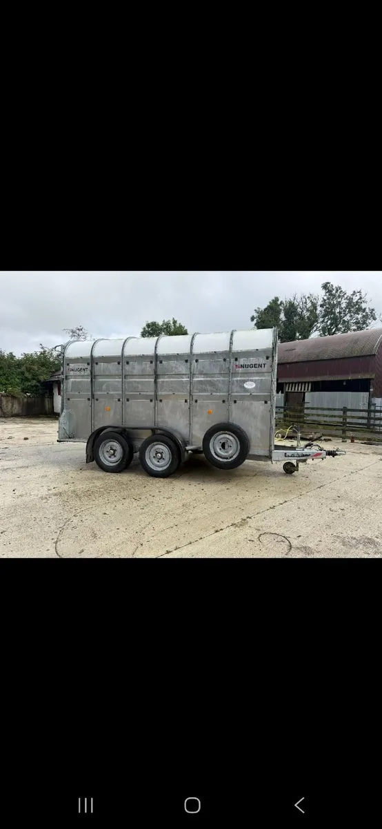 Sheep Trailer - In Tyrone - Image 3