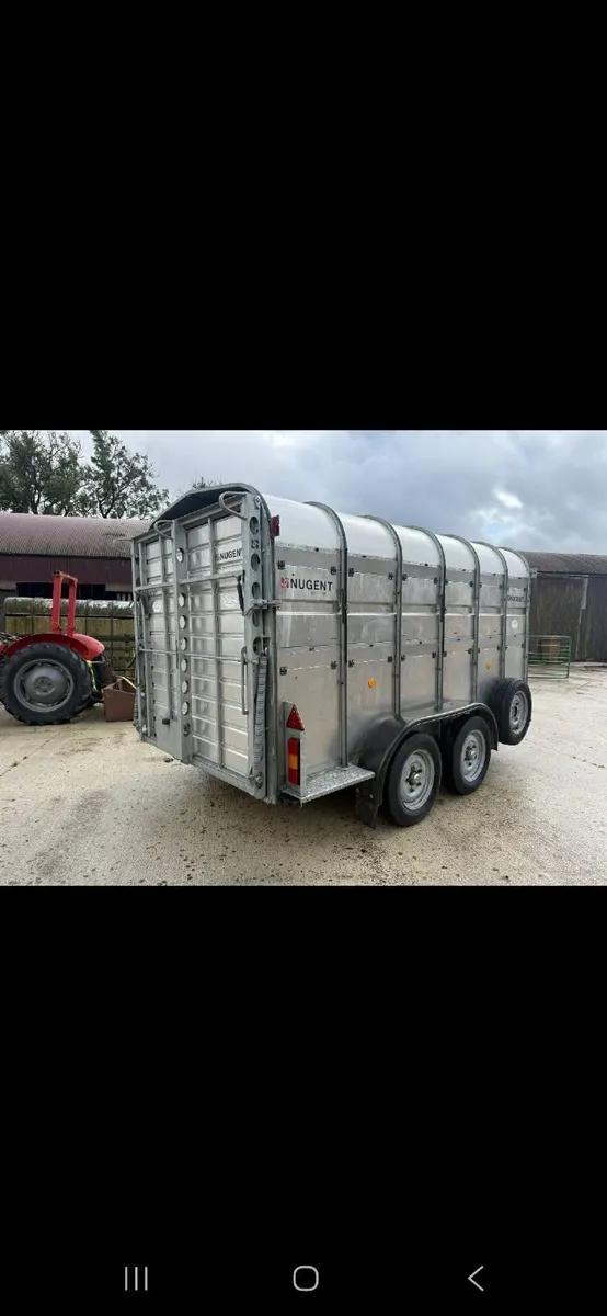Sheep Trailer - In Tyrone - Image 4