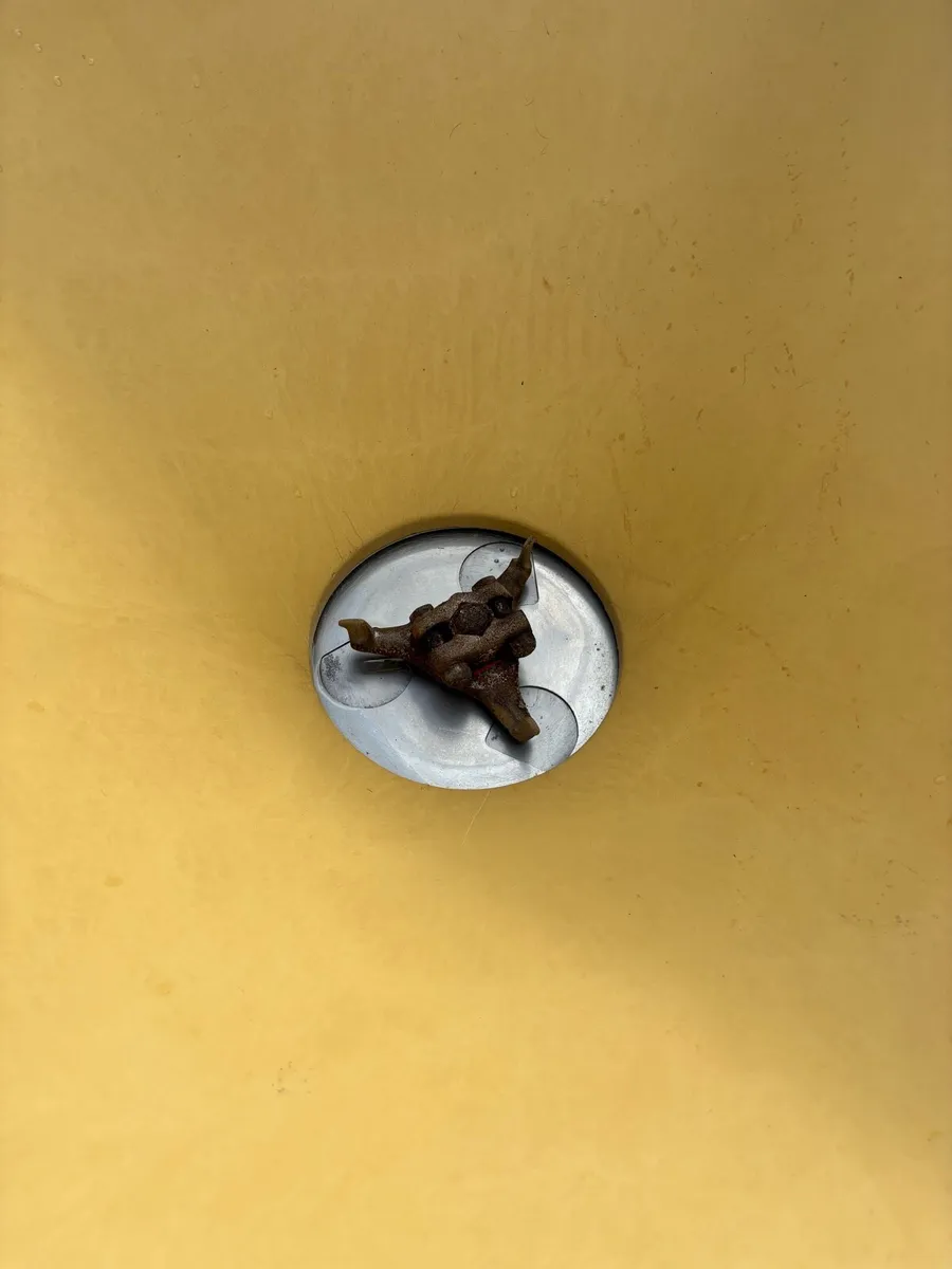 Vicon Wag Tail - Image 4