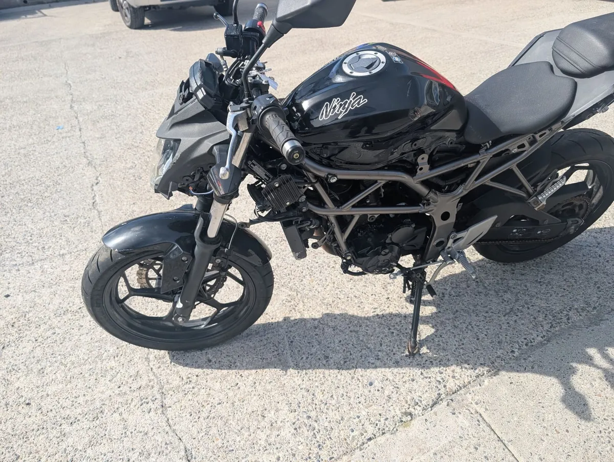 Kawasaki SL250 Ninja  2016 easy project - Image 3