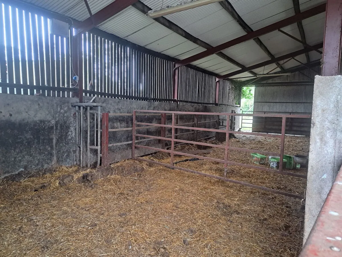 Cattle accomadation