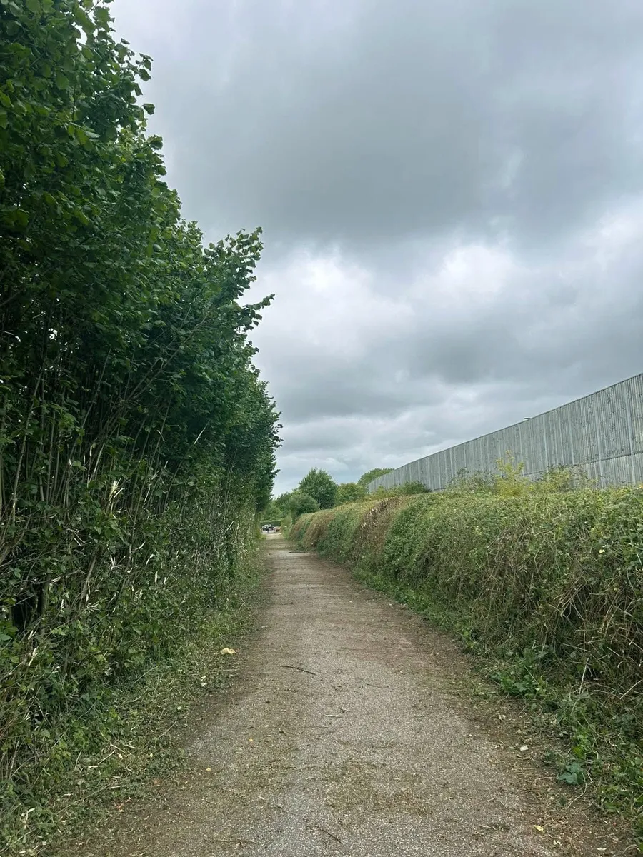 Hedge Cutting Land Clearance – Tractor & Digger - Image 3
