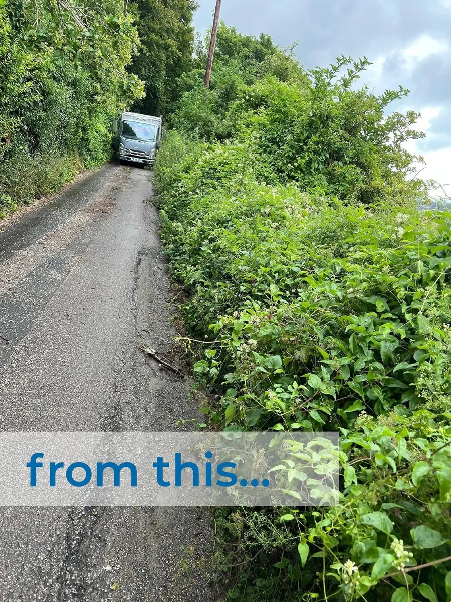 Hedge Cutting Land Clearance – Tractor & Digger - Image 4