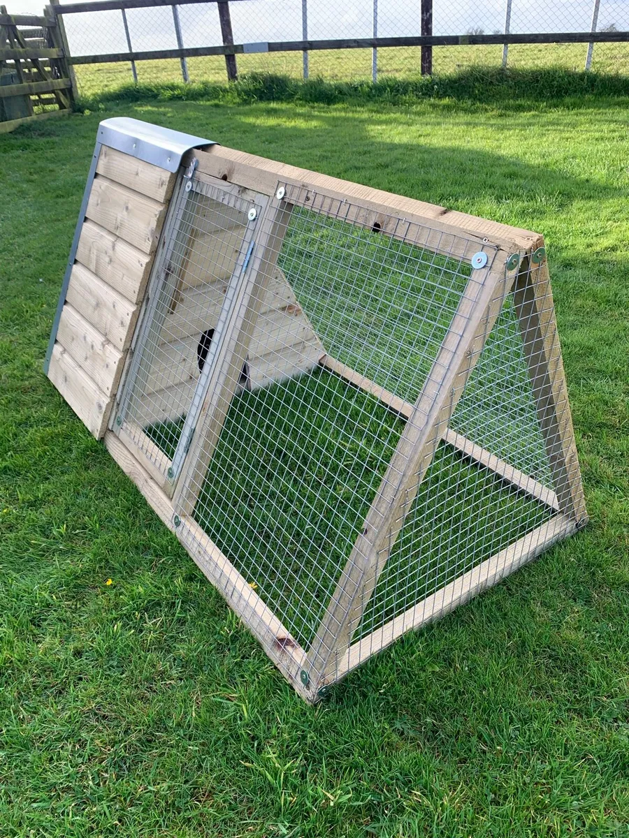 Rabbit/Animal Hutches - Image 2