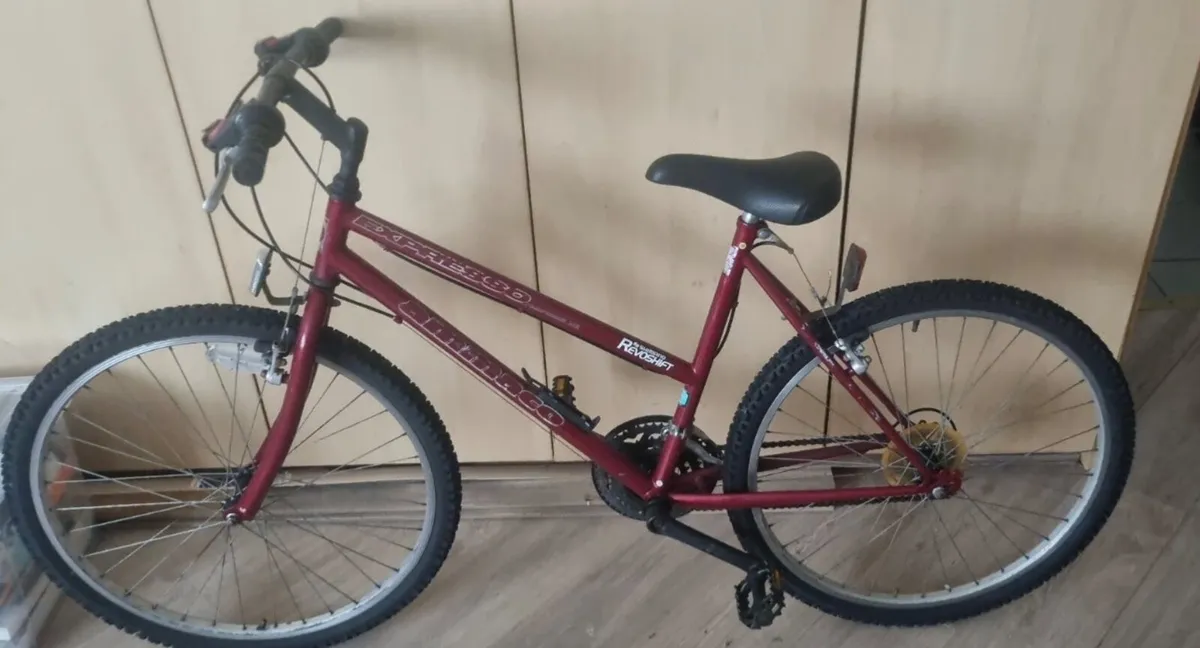 Raleigh Ladies Mountain Bike - Image 3