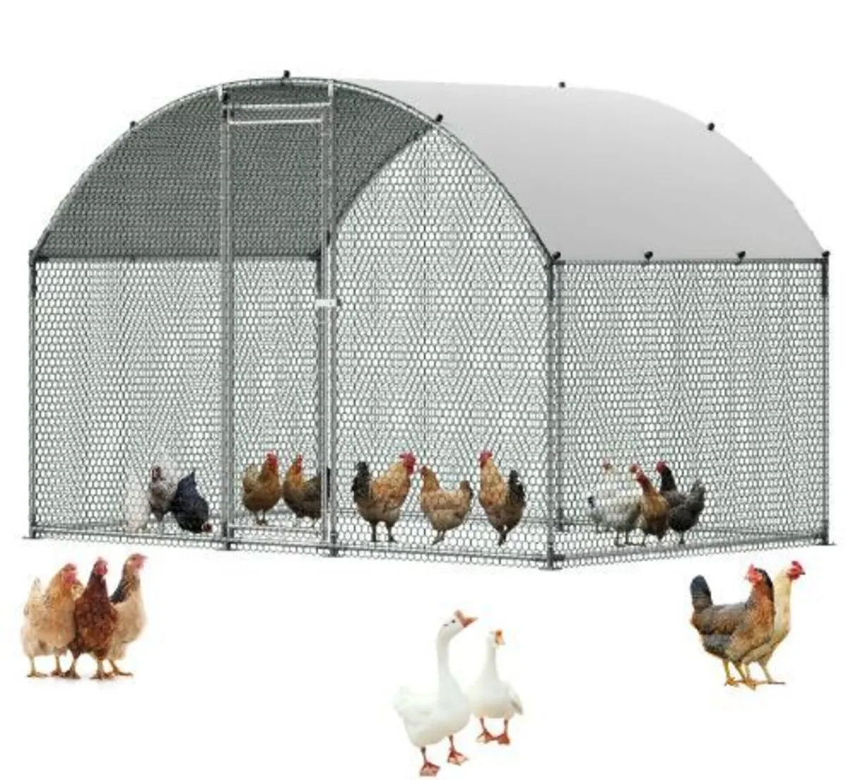 Metal Chicken Coop, 9.8x6.5x6.5ft Large - Image 3
