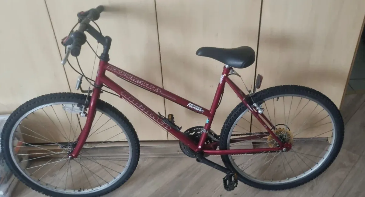 Raleigh Ladies Mountain Bike - Image 1